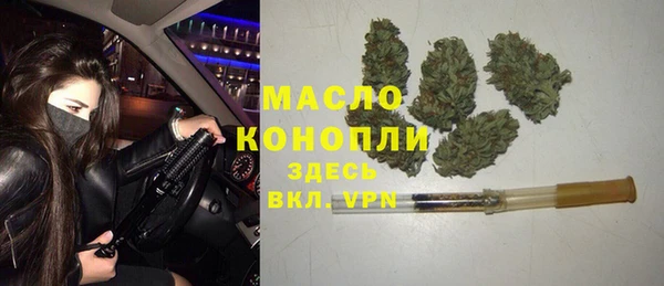 сатива Беломорск