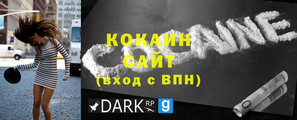 сатива Беломорск