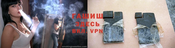 сатива Беломорск
