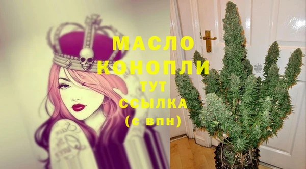 молекула духа Белоозёрский