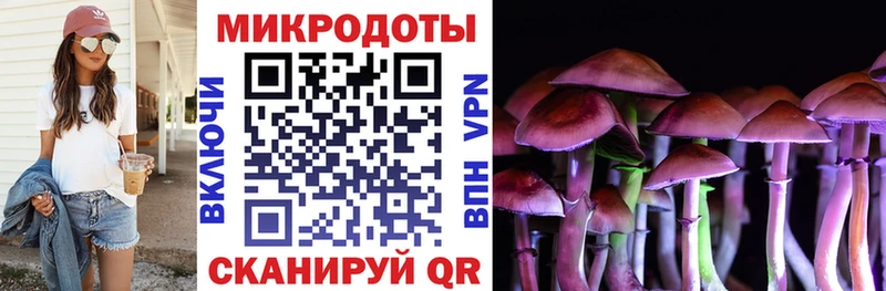 Псилоцибиновые грибы прущие грибы  Цоци-Юрт 